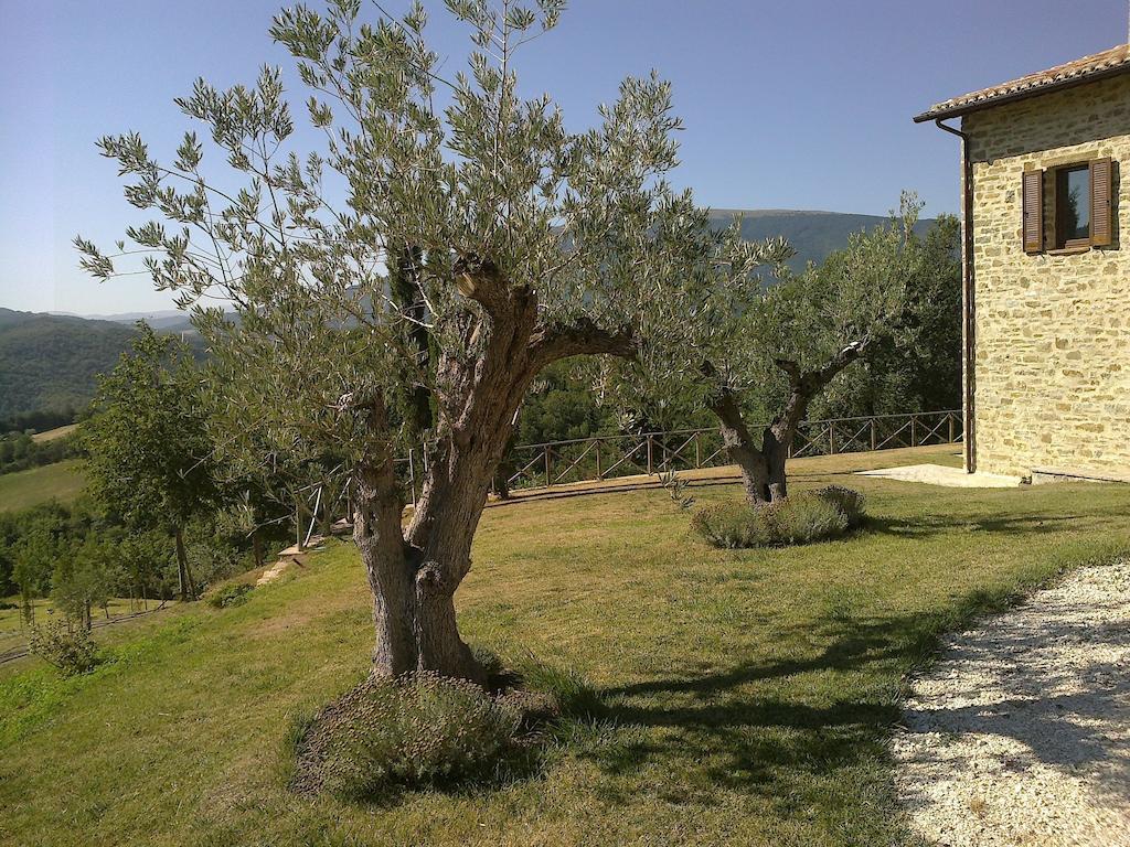 Agriturismo Paradiso 44 Assisi Dış mekan fotoğraf