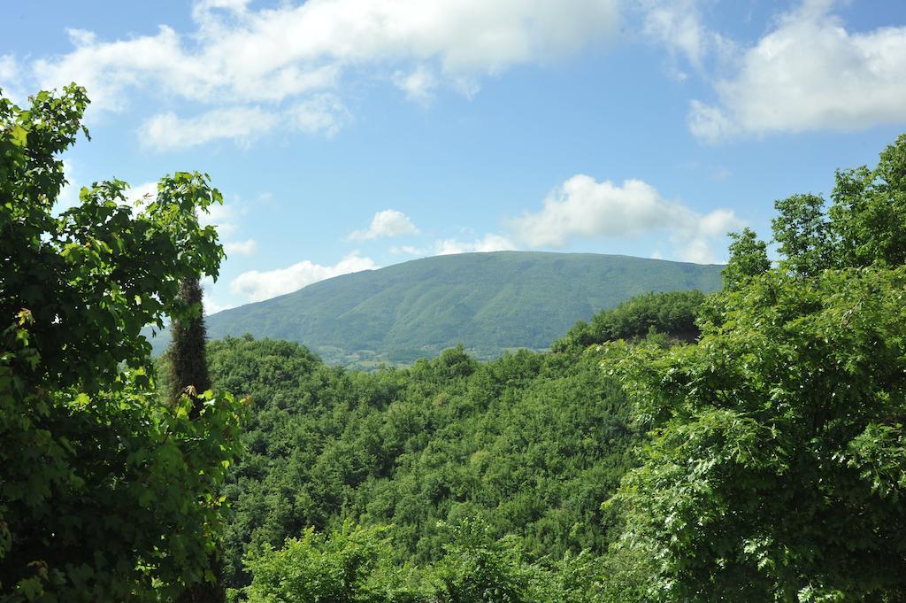 Agriturismo Paradiso 44 Assisi Dış mekan fotoğraf