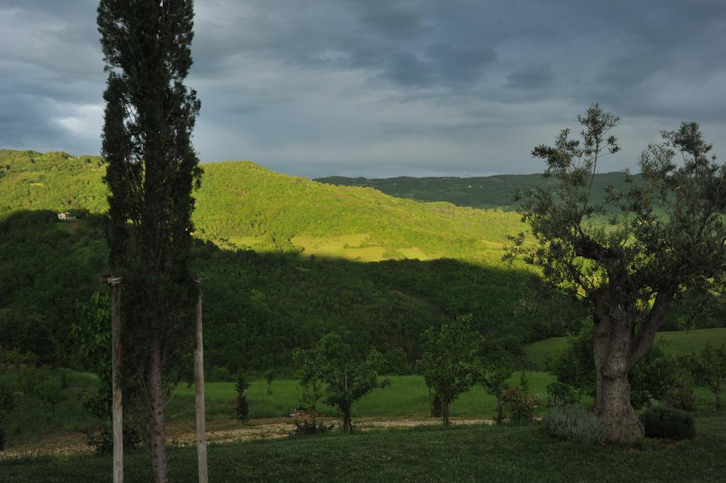 Agriturismo Paradiso 44 Assisi Dış mekan fotoğraf