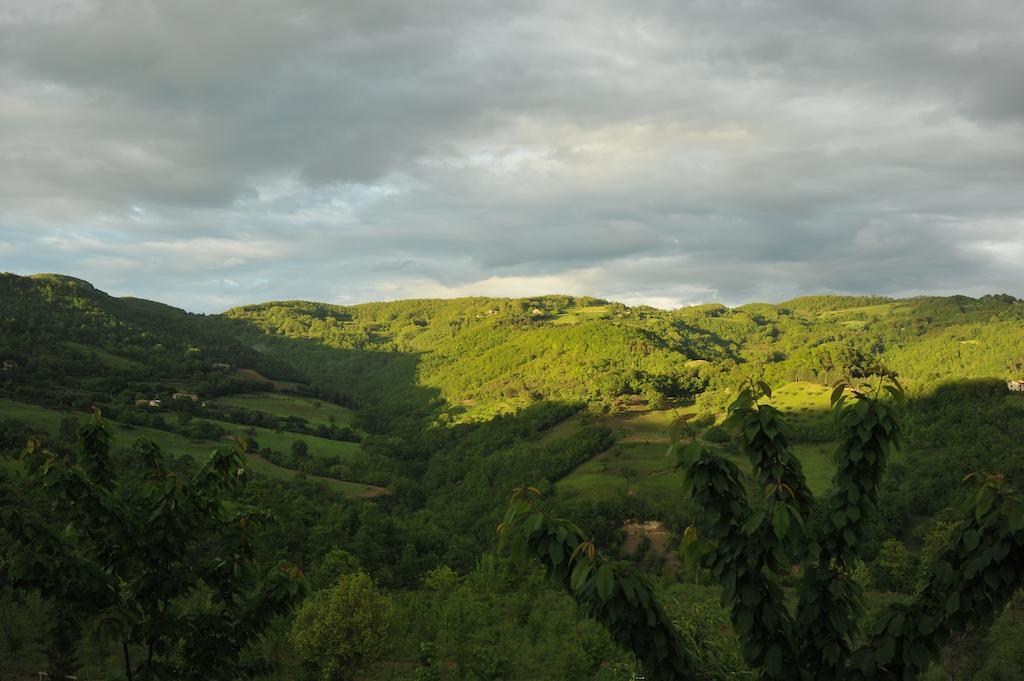 Agriturismo Paradiso 44 Assisi Dış mekan fotoğraf