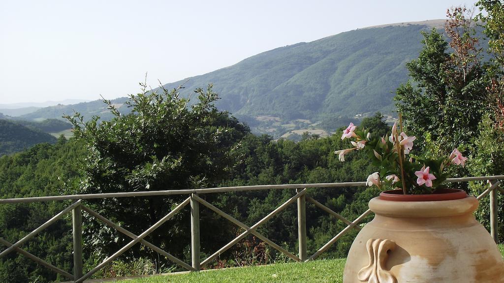 Agriturismo Paradiso 44 Assisi Dış mekan fotoğraf