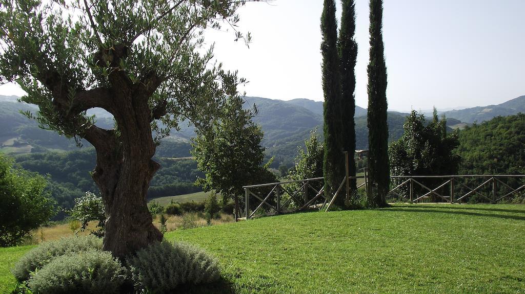 Agriturismo Paradiso 44 Assisi Dış mekan fotoğraf