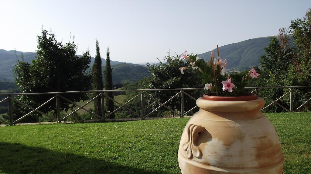 Agriturismo Paradiso 44 Assisi Dış mekan fotoğraf