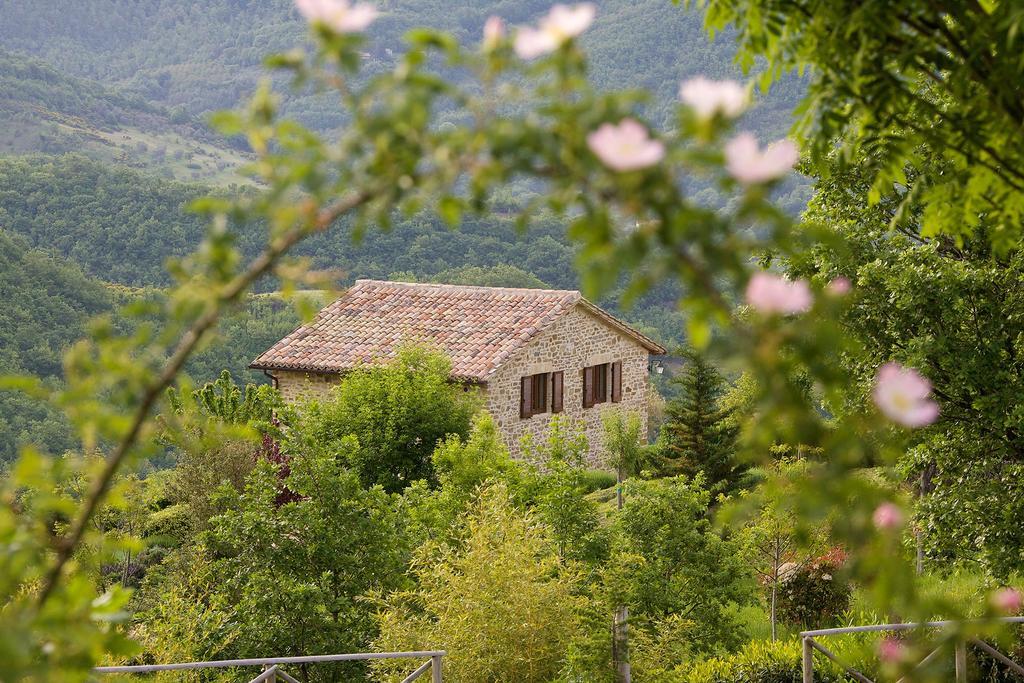 Agriturismo Paradiso 44 Assisi Dış mekan fotoğraf