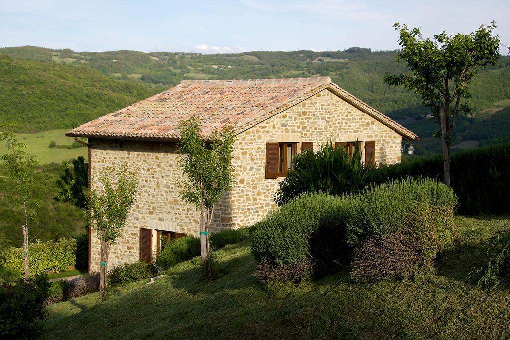 Agriturismo Paradiso 44 Assisi Dış mekan fotoğraf